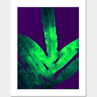 Purple Fern Posters and Art